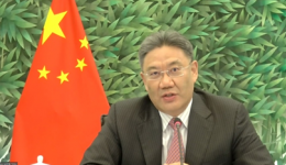 MofCom Minister Wang Wentao