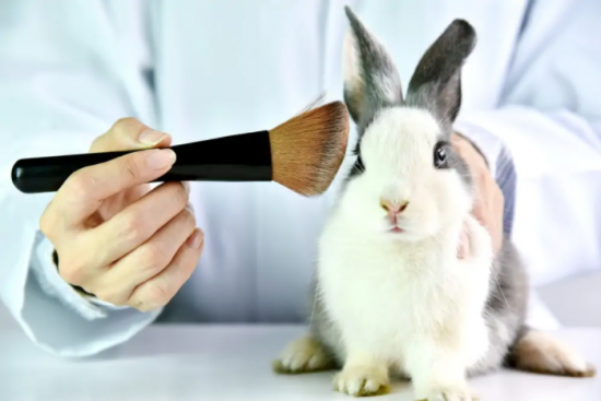 A guide to the new animal testing and cosmetics laws in China